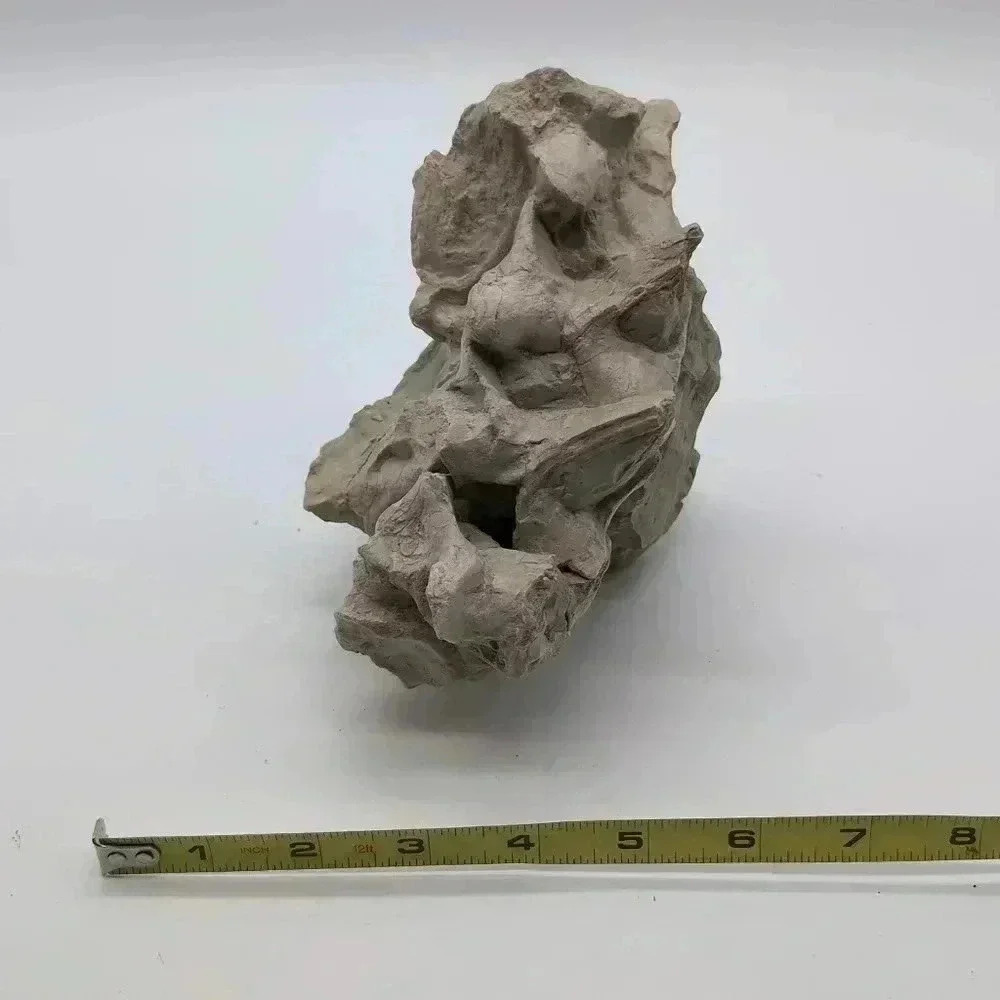 Unique Oreodont Fossil Vertebrae  in Matrix amazing display piece - Picture 7 of 7